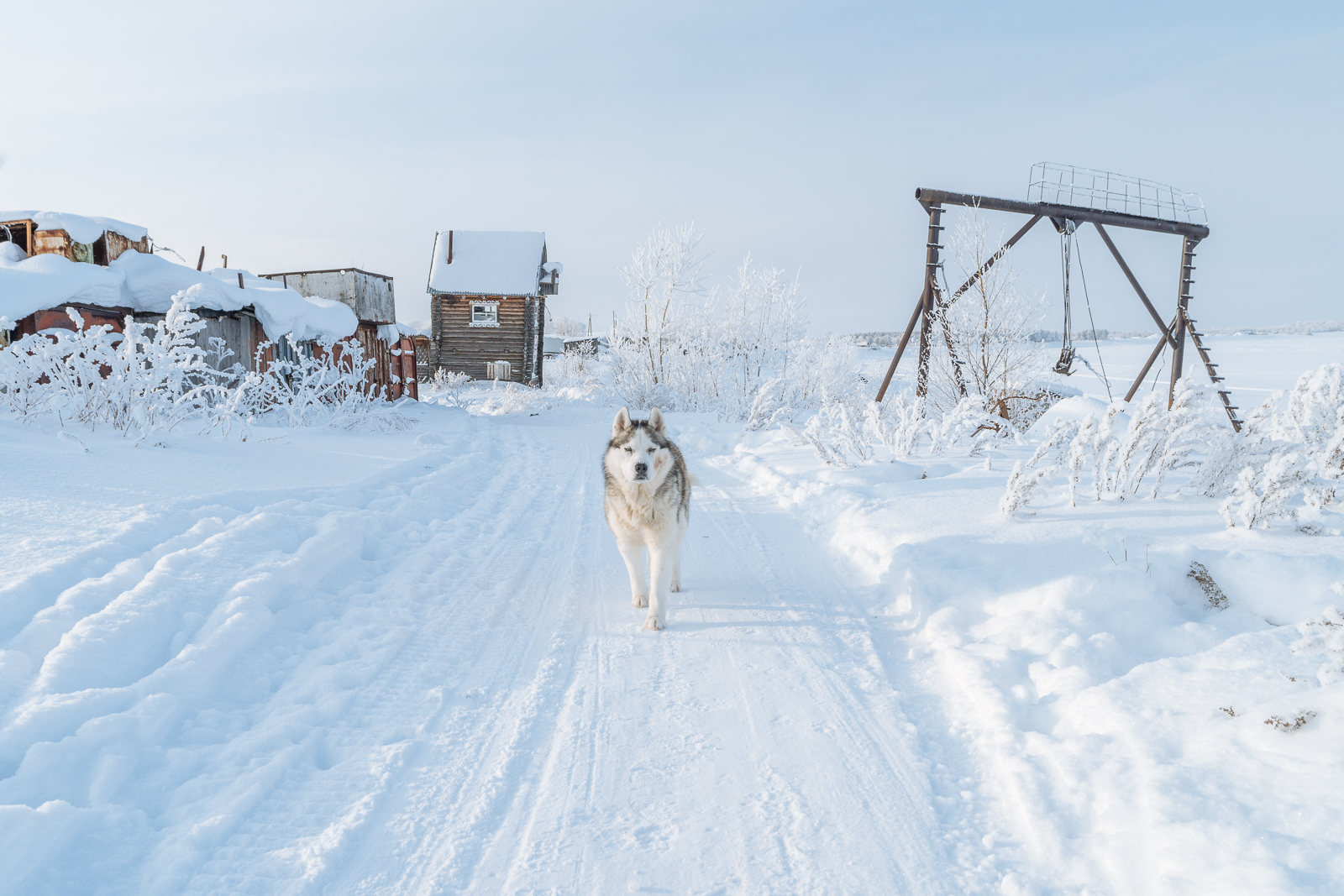 Праздник Сретения Господня-2